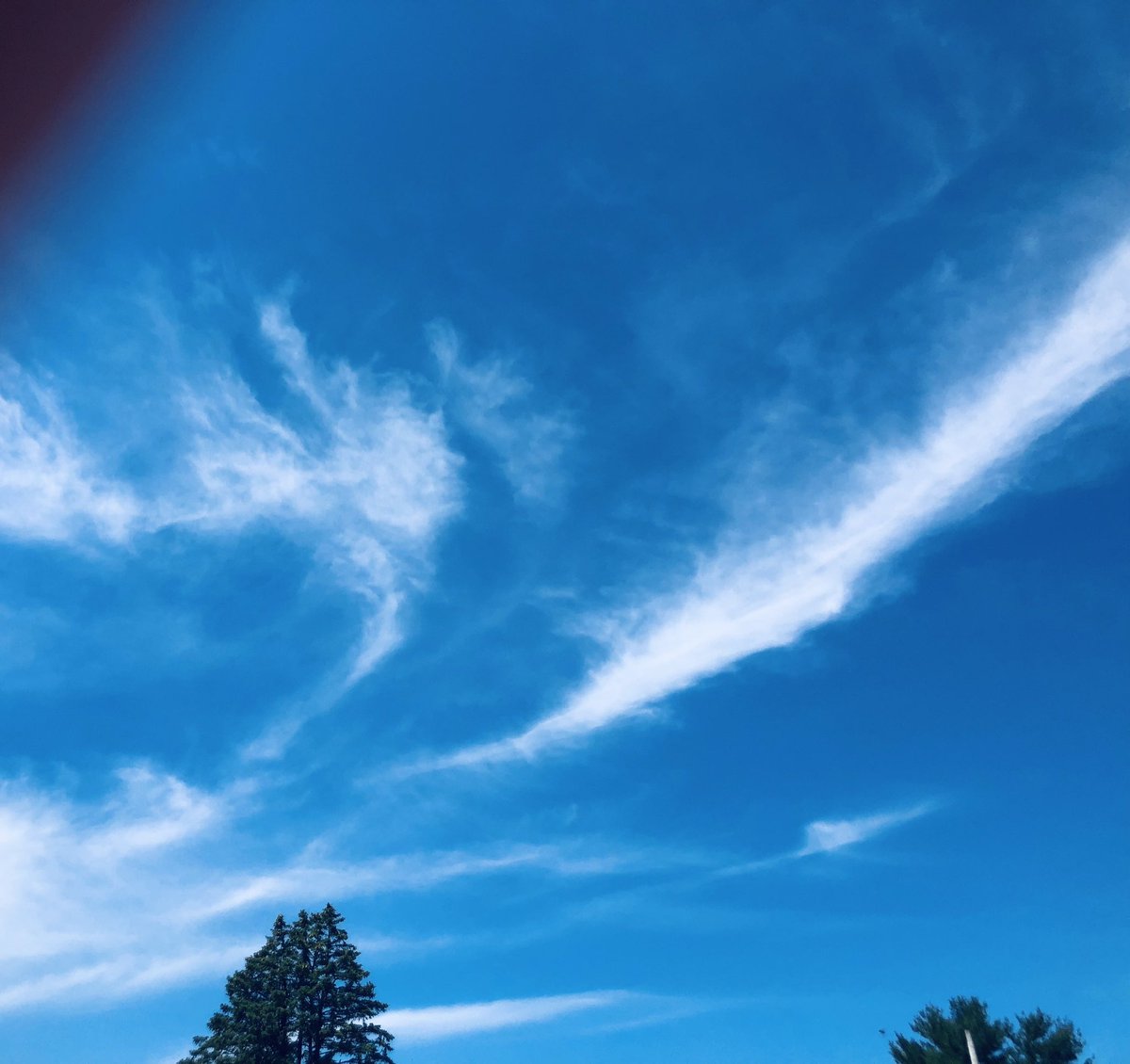 Coltzqueen4ev's tweet image. Father’s Day miles in!!! 632.76 to GO!! 👟💪🏼🎗☀️
#BeautifulOut 
#1000milechallenge