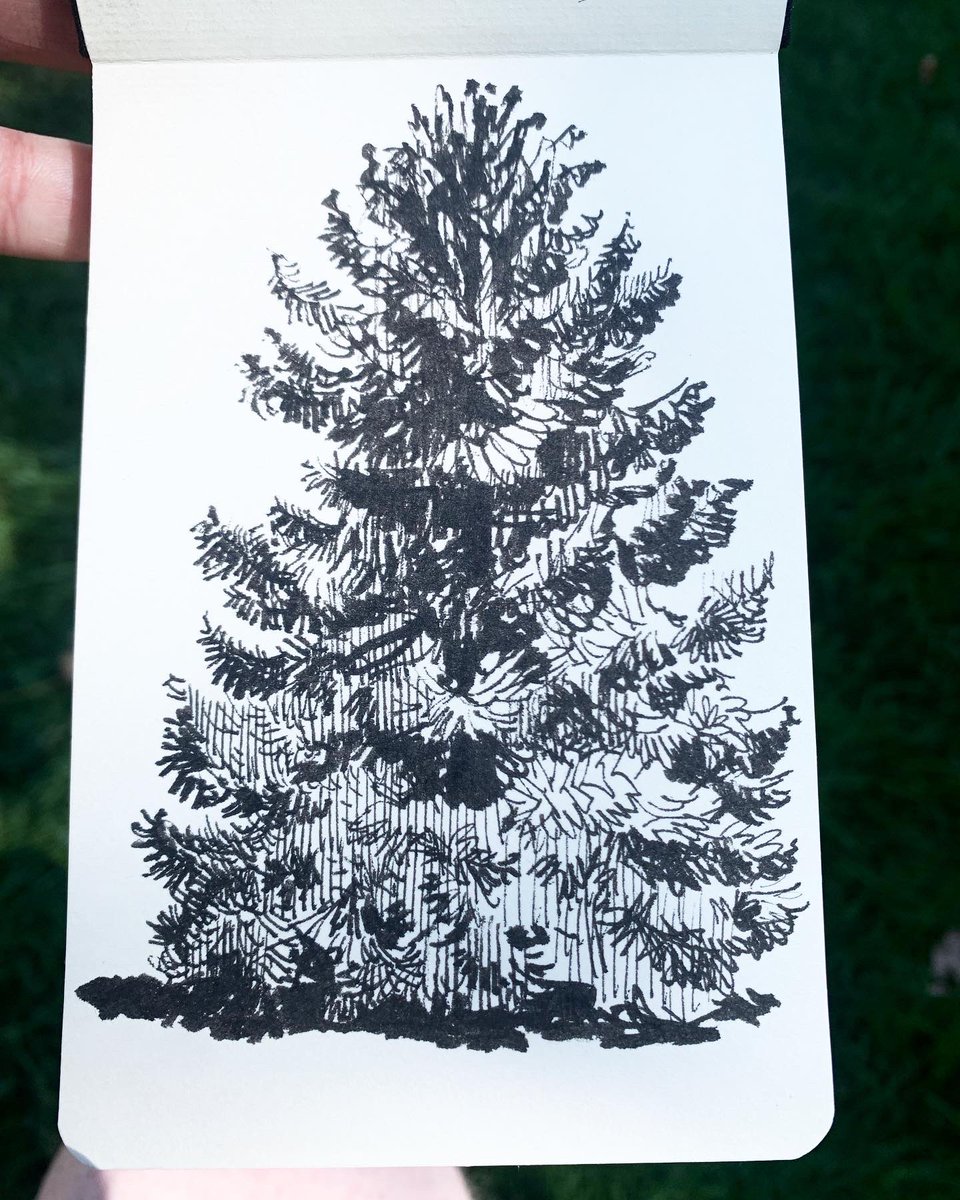 Good advice from Brian as usual. When I got into location sketching it forced me to deal with trees and I'm glad it did. https://t.co/2zD847siRF 