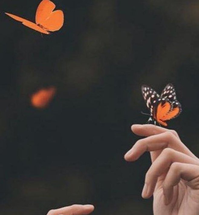 Sen, güzellikle sözünü söylersin. Ârif olan ders alır,cahil olan tavır...

    Hacı Bektaşi Veli
#GeceyeNotum🌛🍀🌺