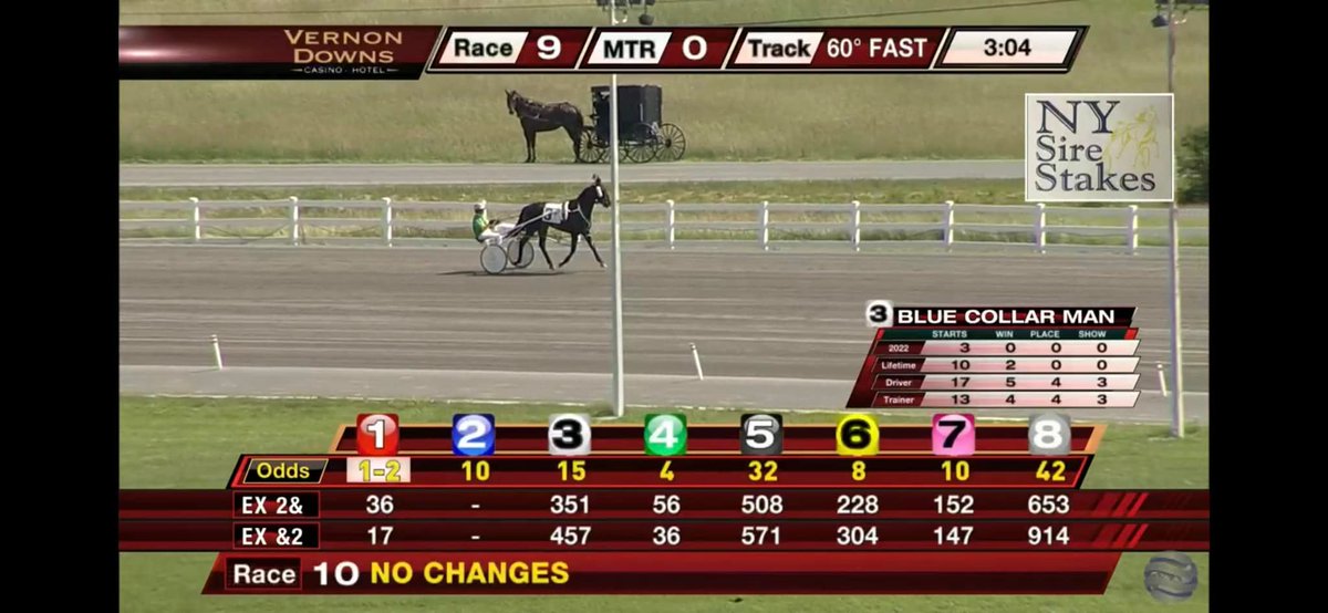 greystable tweet picture