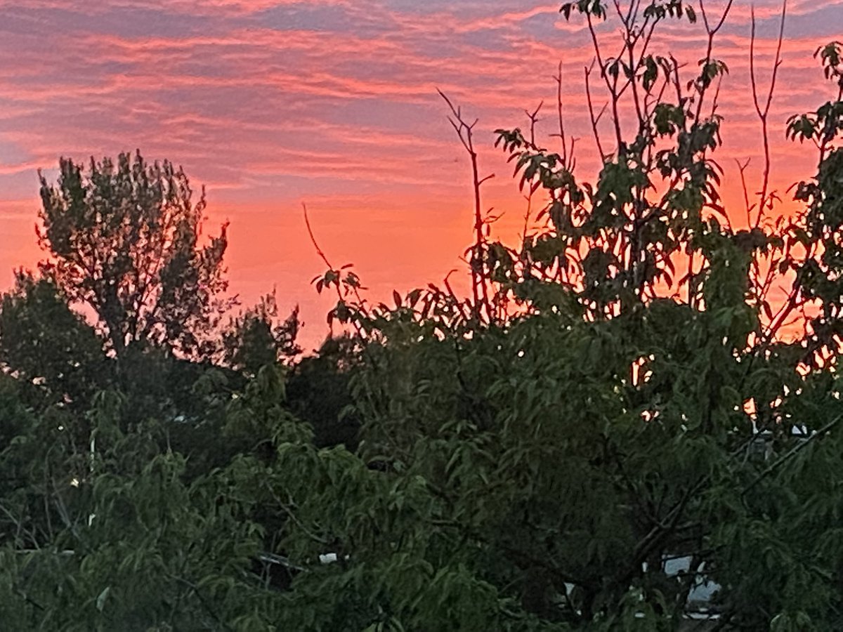 Een reflectie kan ook mooi zijn. We moeten toch zuiniger op de natuur zijn!!