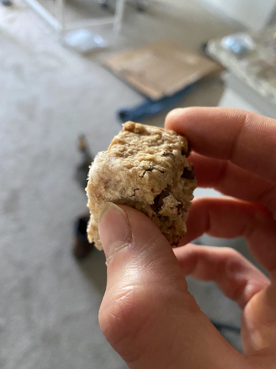 chubbyemu's tweet photo. had some cookies 🍪 for lunch today

tasted a mothball-like odor waft into my nose as I was eating

"huh, that's weird"

not feeling well a few hours later

look into bag and realize that mothball taste was white fuzzy mold all over the cookies 😳

this is it. good bye everyone😢 https://t.co/DTNl30tOsu