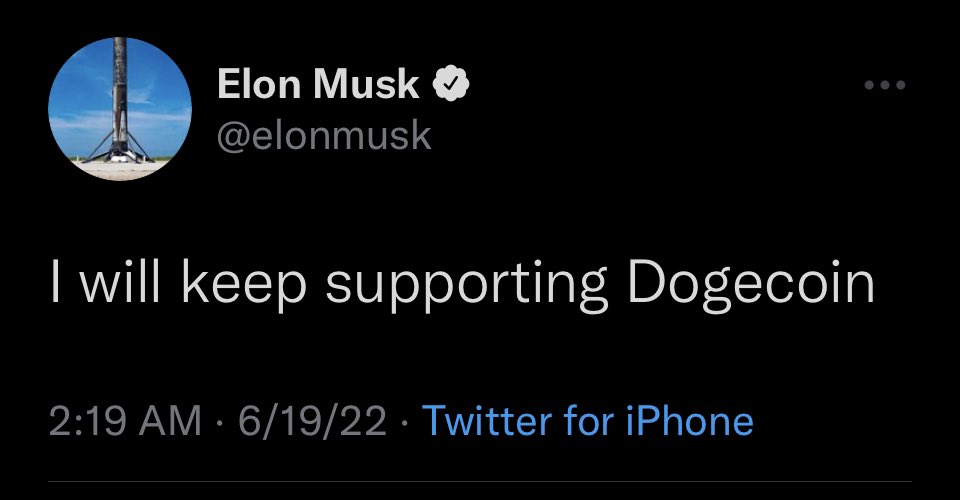 Doge-1 🍥 tweet media