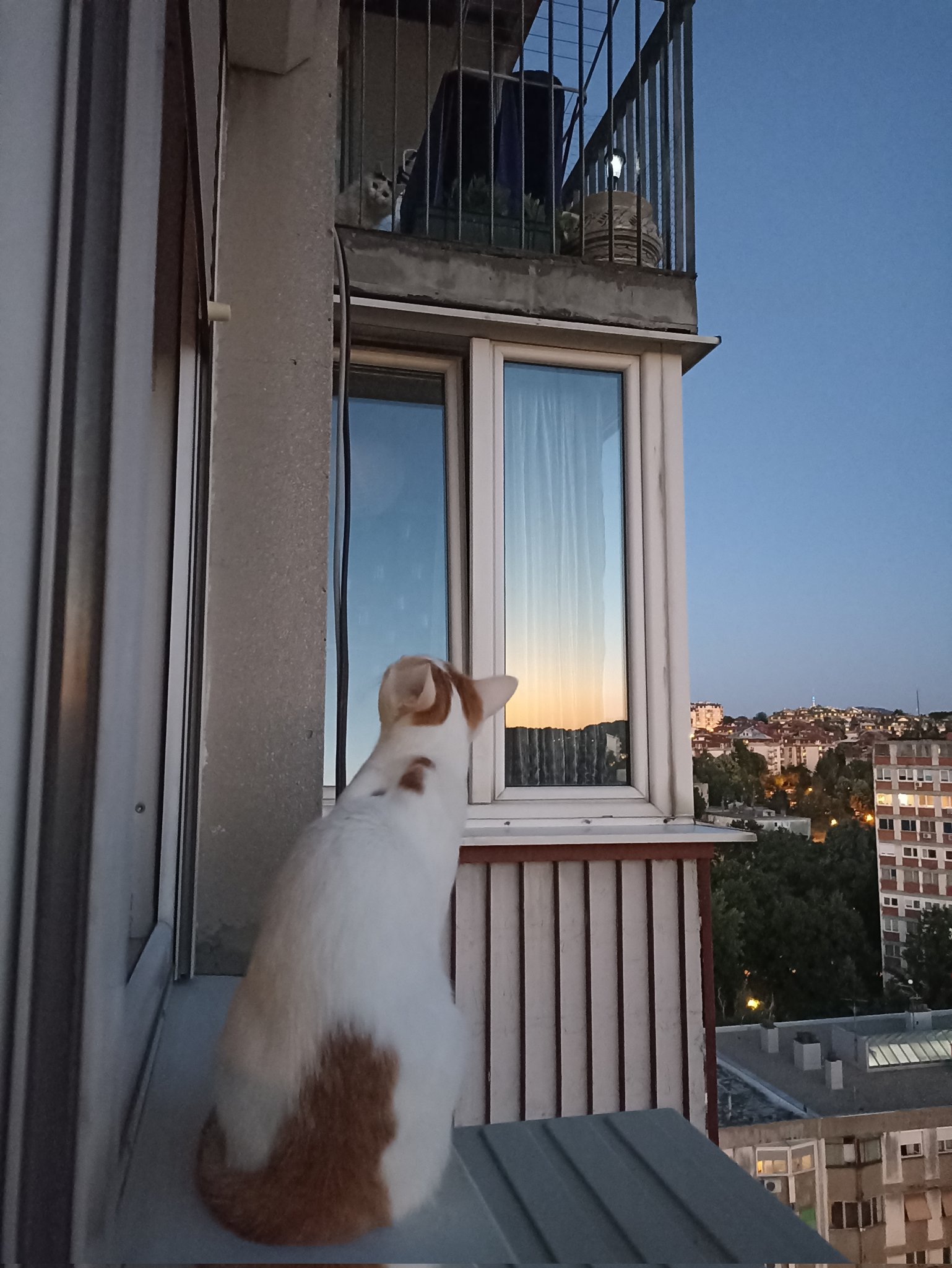 O romeo zasto si romeo