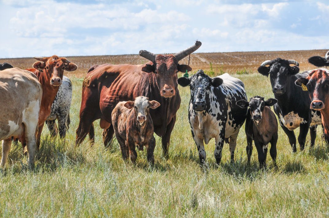 Happy Father’s Day to all the dads out there! #FathersDay #june #summer