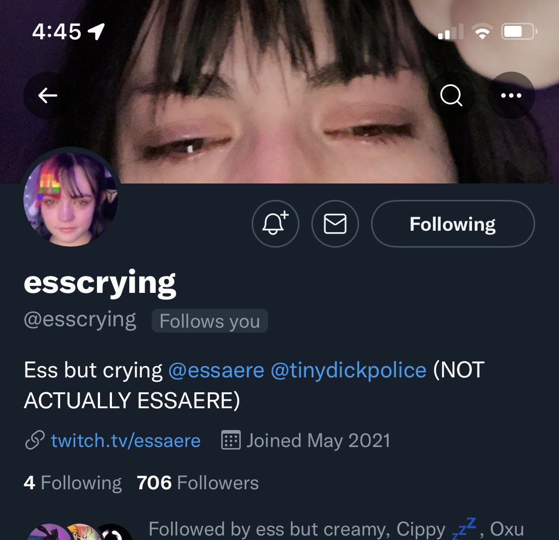 ess! twitchcon on Twitter "the essaere fandom was a mistake https