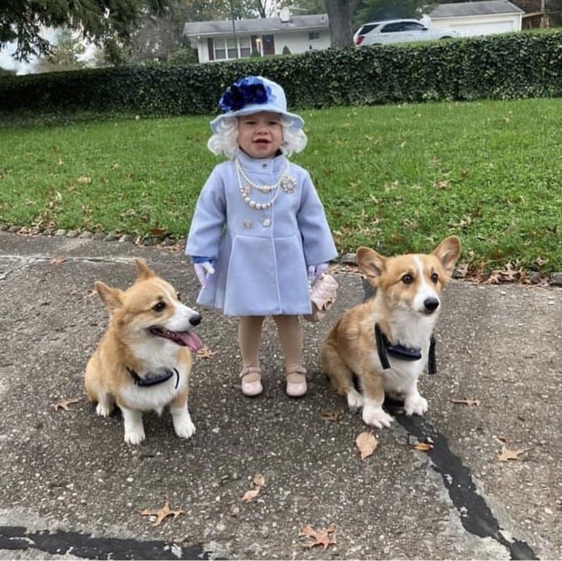 ✨Halloween costume inspo✨