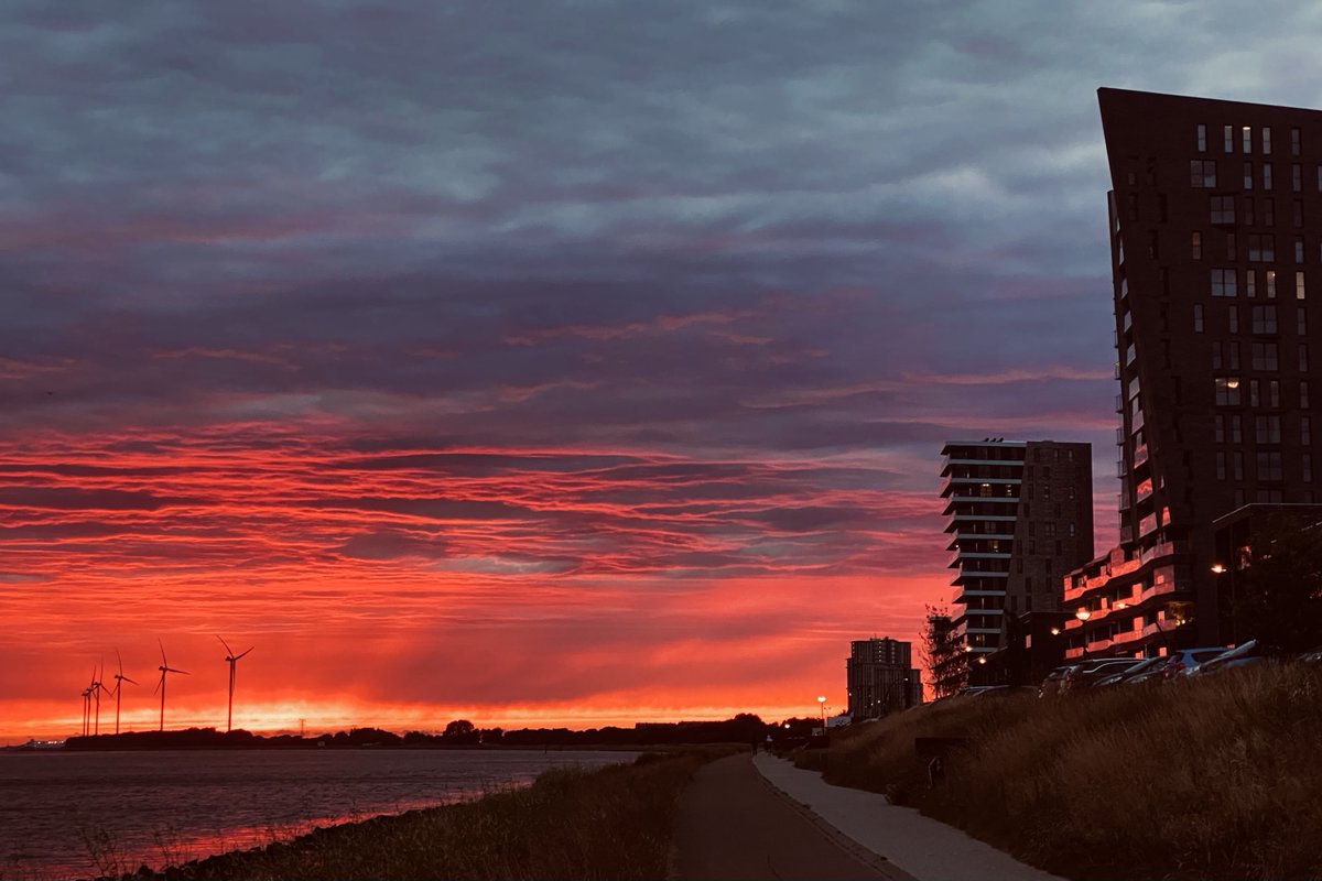 Doei ZONdag 👋🏻