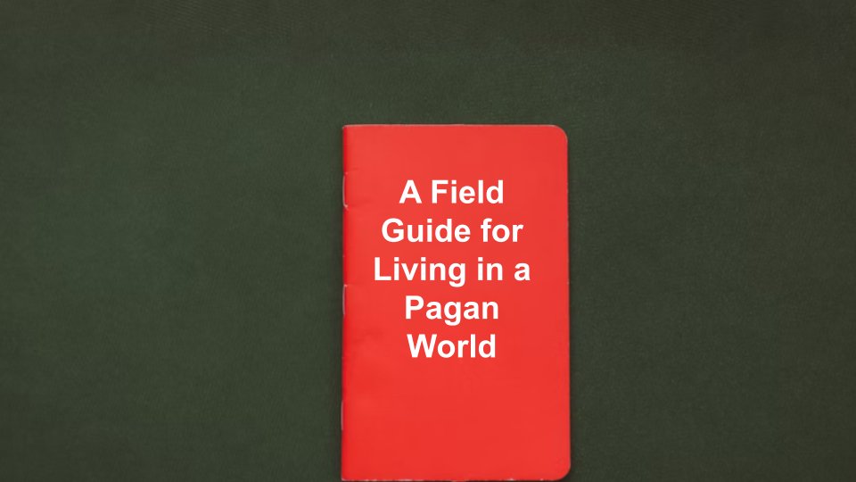 matt_everhard's tweet photo. "Field Guide for Living in a Pagan World."
Sermon on 2 Thessalonians 3:1-5. #expositorypreaching #reformedpreaching #LordsDay
Video here: https://t.co/rdBPSPN45l https://t.co/WFMsYQmABM