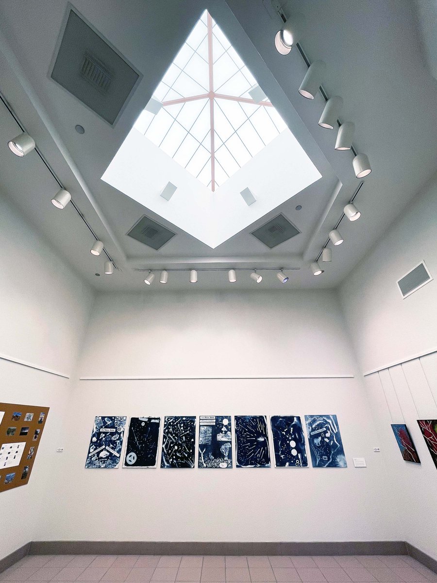 LVCCLD's tweet photo. Take a trip to #LaughlinLibrary to see the "Spirit of the Land" exhibit that is now on display through June 25, 2022, &amp; is a love letter to the plants, animals, geology, history, &amp; people of the East Mojave landscape at the southernmost tip of Nevada. https://t.co/lZqlvEvnhr https://t.co/SYeJXrH6Eq