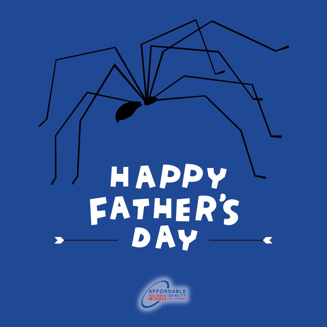 Happy Father's Day! 

Did you know that Daddy Long Legs can be equated to stay-at-home dads? The father spiders will create a nest for the eggs, remove any fungus or bacteria from the web, and protect the eggs from predators.
