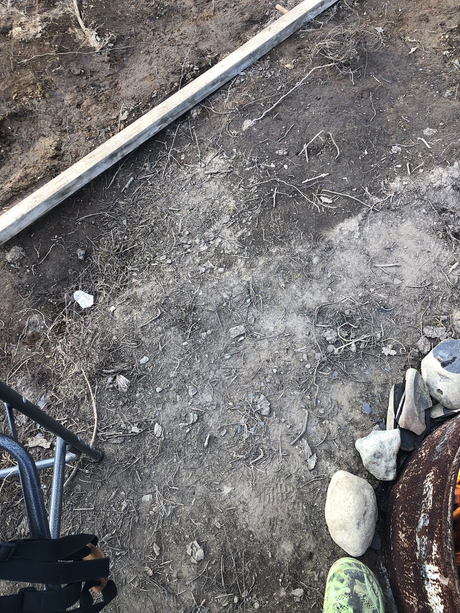 gomer2323's tweet photo. Find the screw, #CampEdition https://t.co/FBXl4BSUad