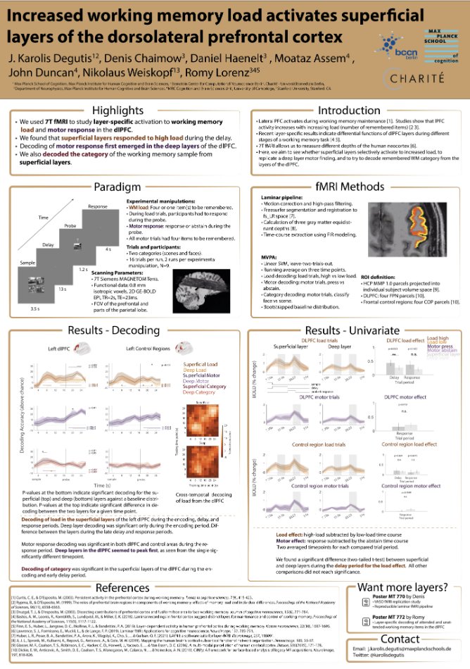 MT771: @karolisdegutis presents 'Increased working memory load activates superficial layers of the dorsolateral prefrontal cortex' - a GE-BOLD study with results from layer-specific decoding of WM load and WM content >> Mon: 12:15pm - 1:15pm and Tue: 1-2pm