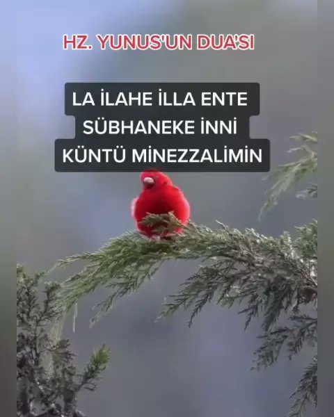 ZekiAyd51234086's tweet image. Şok edici!😱😱 Sonuna kadar izlemelisin! 👇🏻👇🏻 #Likee #HelloLikee #LIKEEapp l.likee.video/v/QA6PM