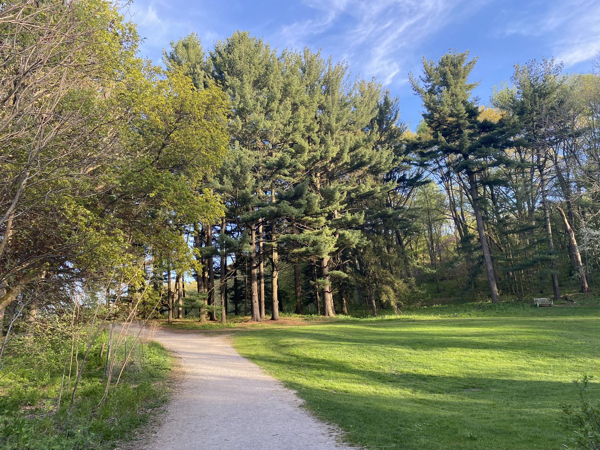 Alex Song tweet media