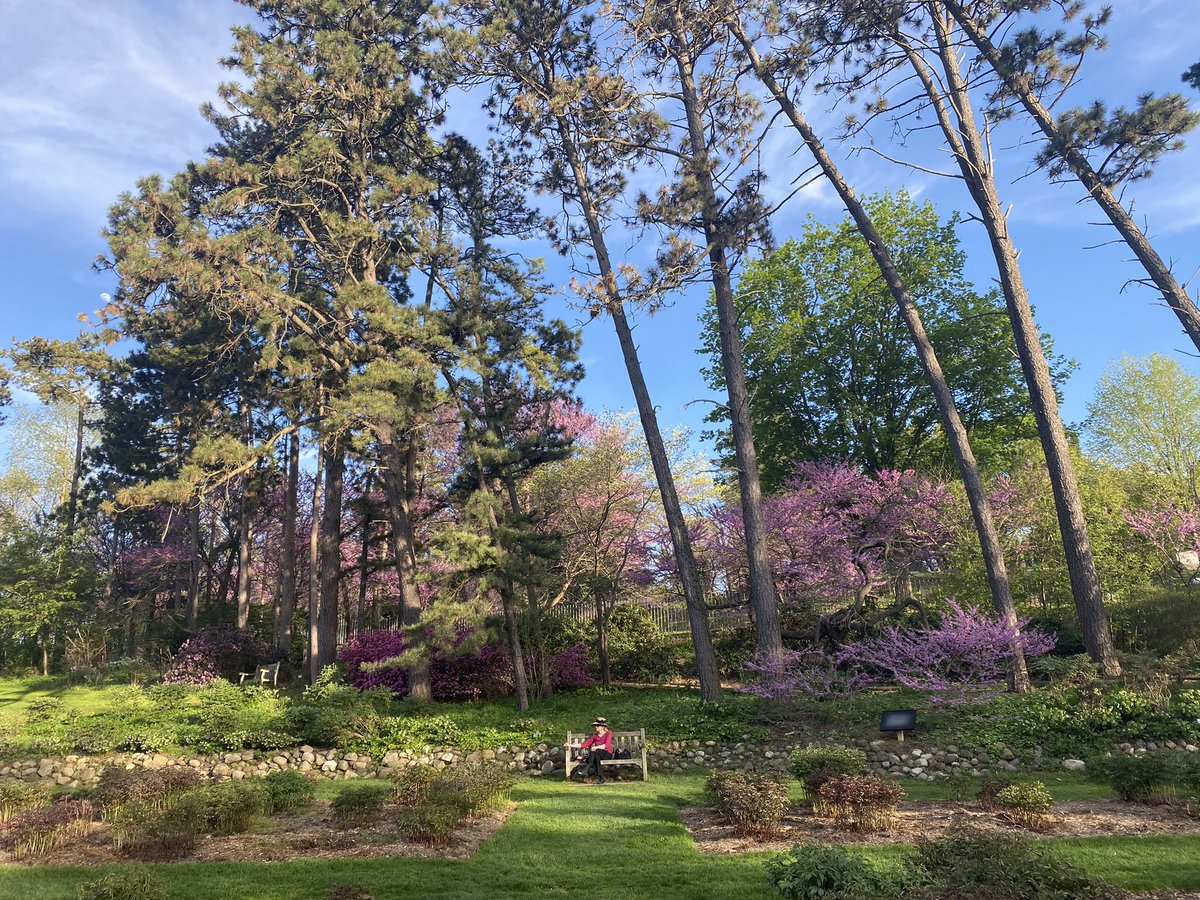 Alex Song tweet media