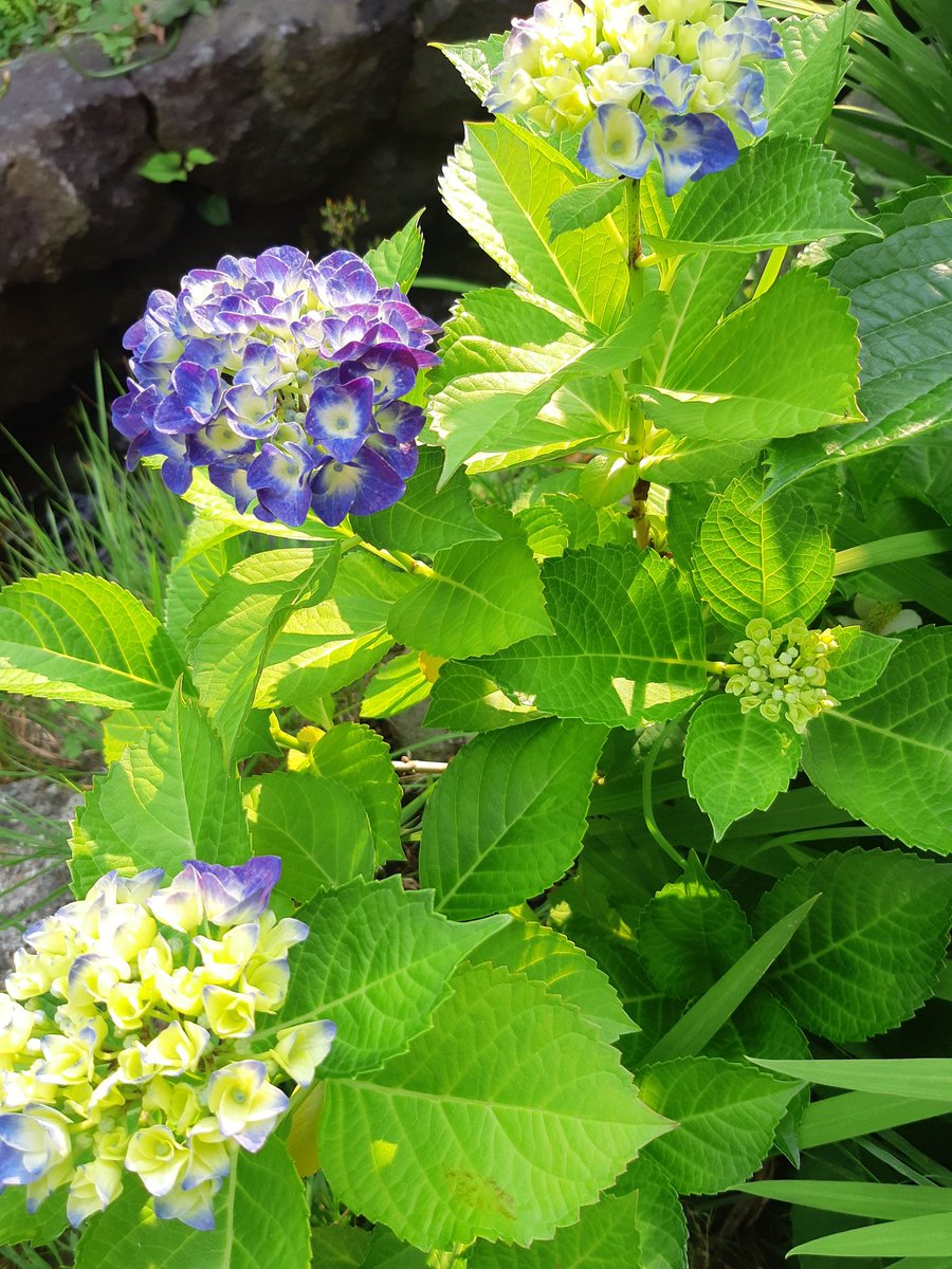 NJlVZyOEvNt8T5H's tweet photo. 今日も晴れた
時々
心ブルーになるけど
一週間の始まりは
笑顔で始めないとね
青空を見ると
元気になれるよ😊💕
さぁ気持ち
切り替えて
今日も頑張りますか😄👊
こんな私だけど
今週も皆さん宜しく
お願いします🙇♀️⤵️
#チャン・グンソク
#同じ空の下
#私はうなぎ_jksfm2022
#Bloomig
#WEWILLMEETAGAIN https://t.co/alc9wCjNwb
