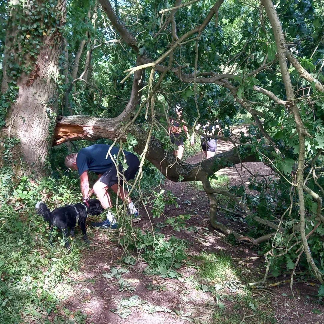 FV Challenge tweet media