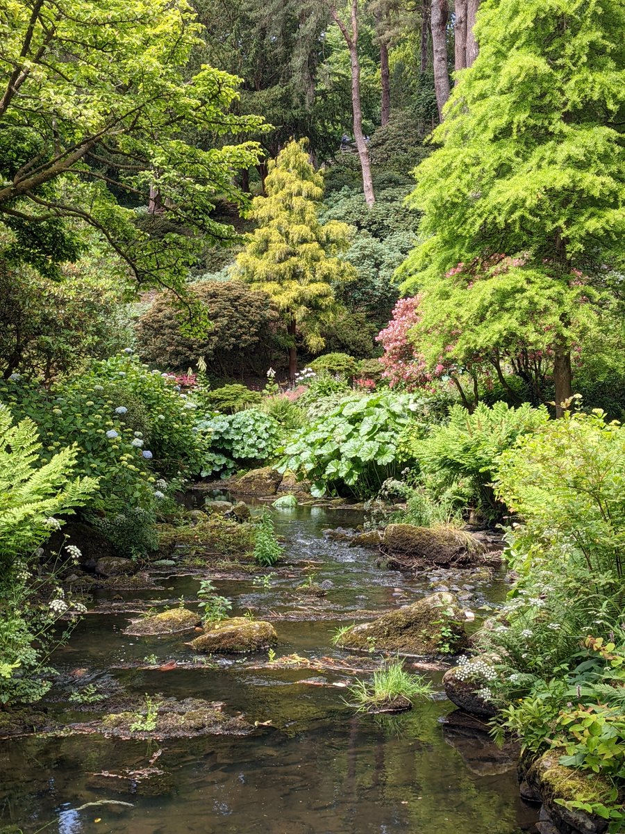 suebeesley's tweet photo. Visited @BodnantGardenNT today for the first time in 10 years. Oh my, I'd forgotten just how superb it is. Spectacular, yes, but also so horticulturally rich and divers - spotted dozens of plants I can't wait to source. https://t.co/9EiAiAzQ6Q