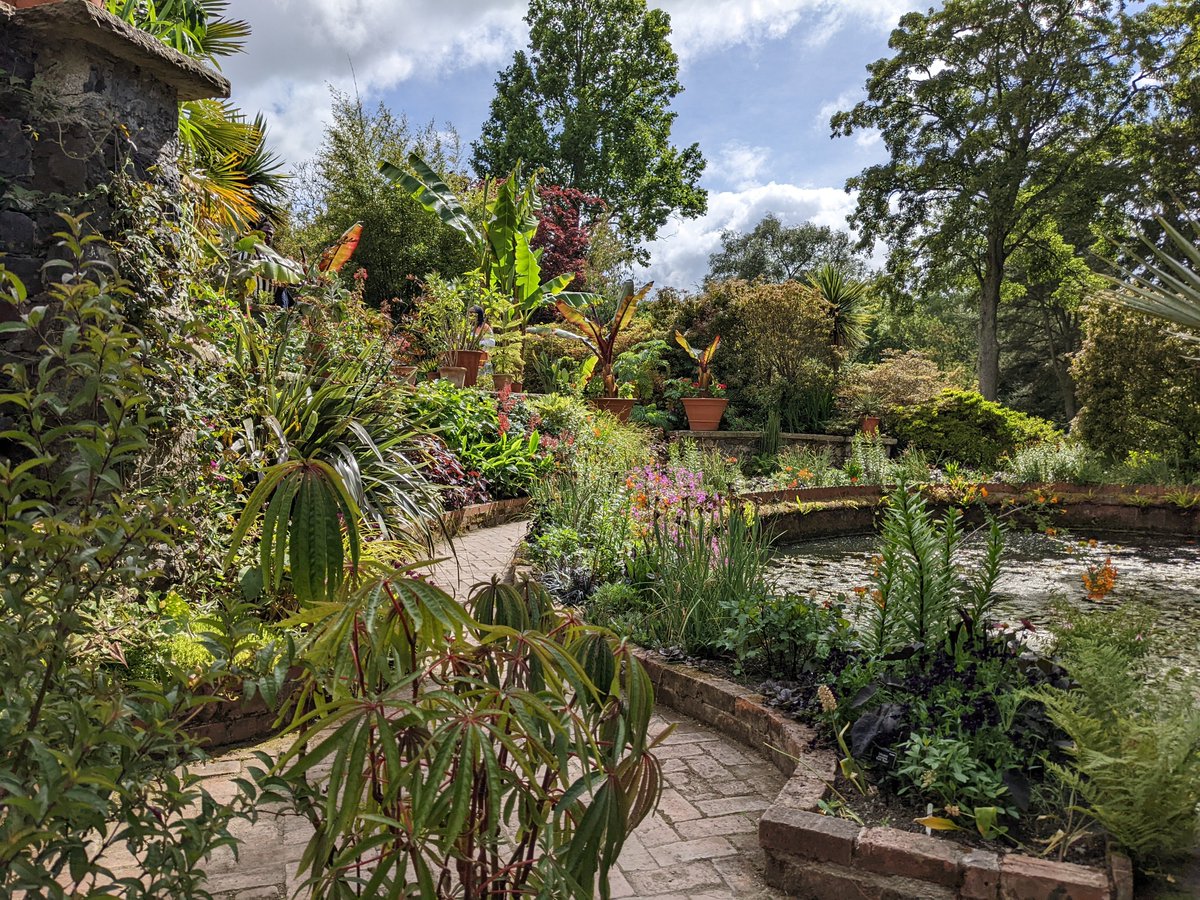 suebeesley's tweet photo. Visited @BodnantGardenNT today for the first time in 10 years. Oh my, I'd forgotten just how superb it is. Spectacular, yes, but also so horticulturally rich and divers - spotted dozens of plants I can't wait to source. https://t.co/9EiAiAzQ6Q