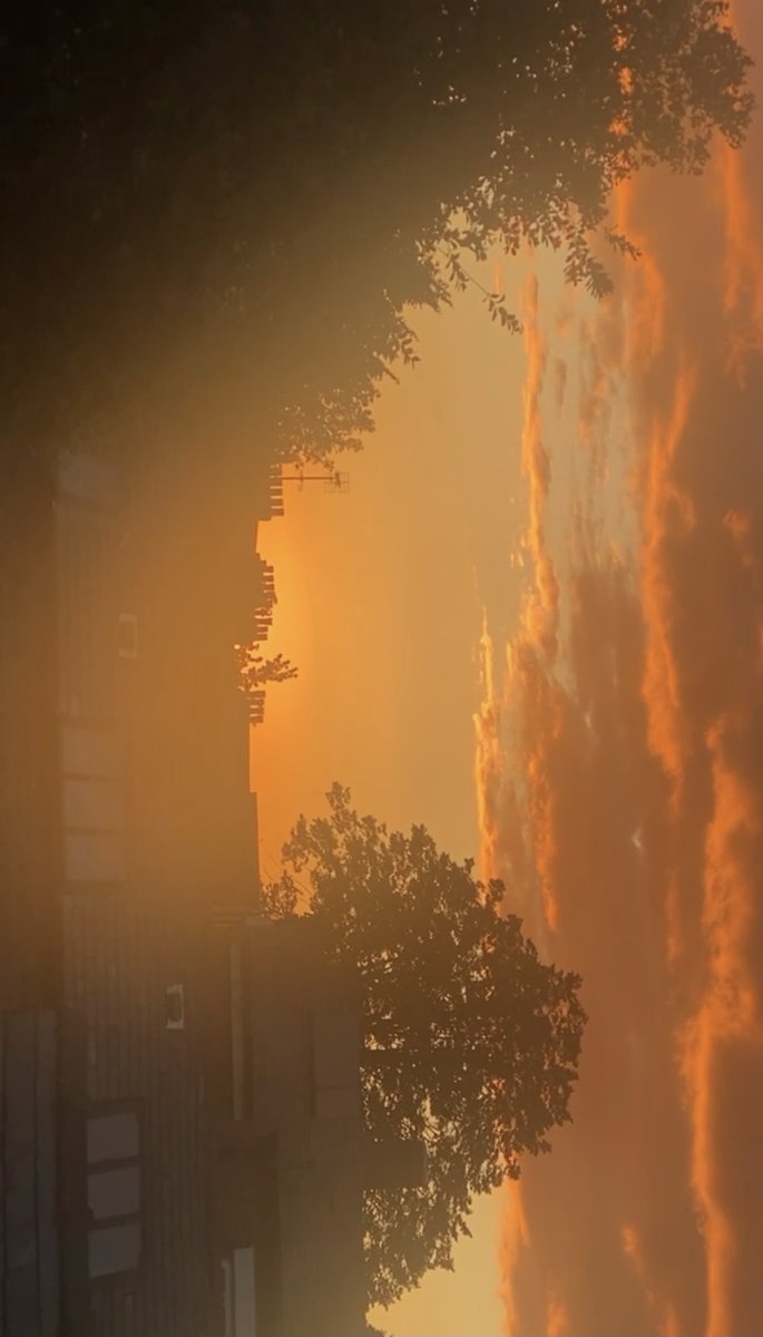 ZainabVorajee's tweet image. Sunset lover