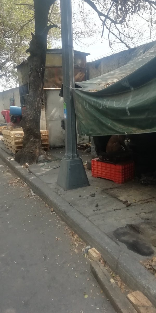carmando489's tweet photo. Por favor ayudenlo a salir de ese calvario su dueño lo dejo amarrado desde hace un mes y está en el negocio que cuidaba esta a la intemperie su ubicación es avenida de las granjas enfrente de Tecnoparque https://t.co/lwm2uGPNiv