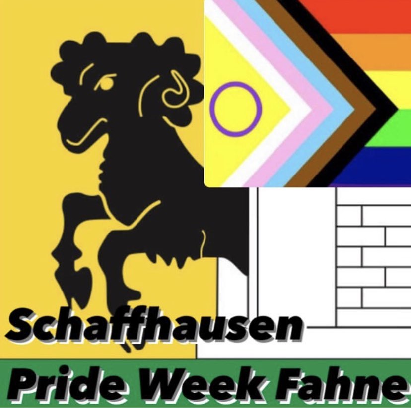 Die 1/4 Pride Flagge für Schaffhausen, weil die #stadtschaffhausen den Verein #Queerdom nur eine Woche Regenbogenfahnen aufhängen lässt. Pride Week anstatt Pride Month..? #pridewoche #schaffhausen