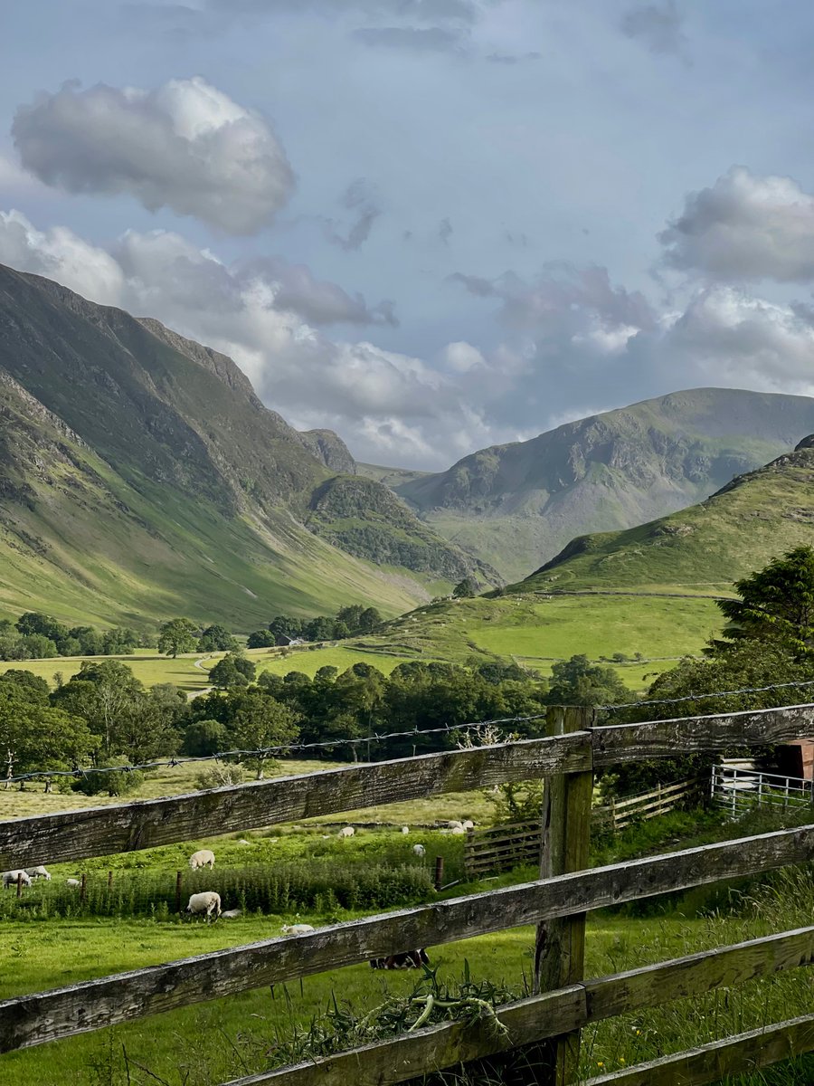 evemarisa tweet media