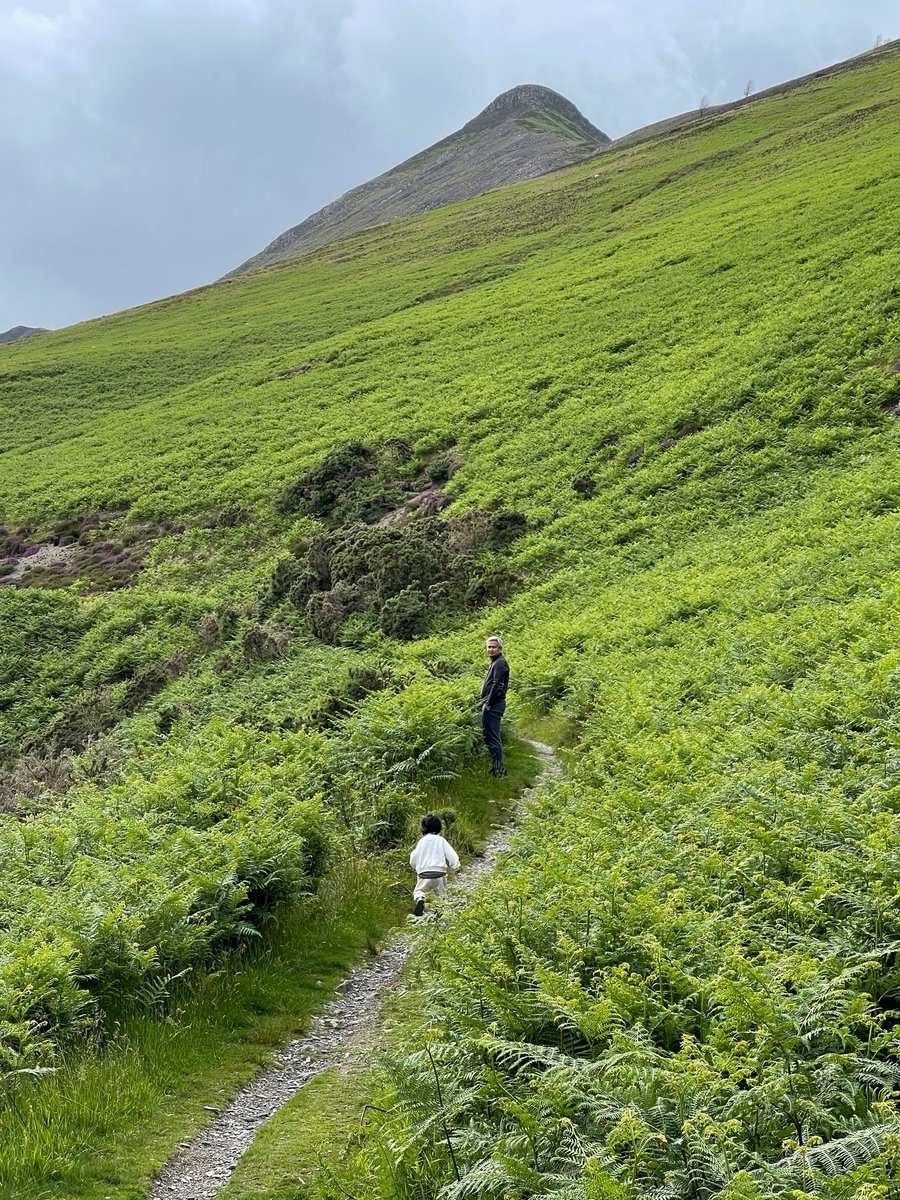 evemarisa tweet media