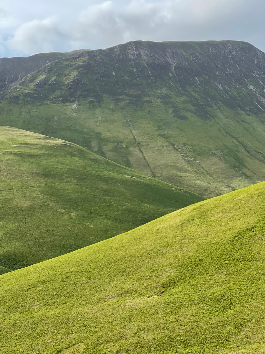 evemarisa tweet media