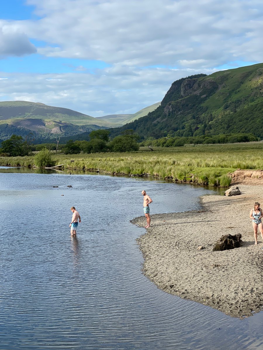 evemarisa tweet media