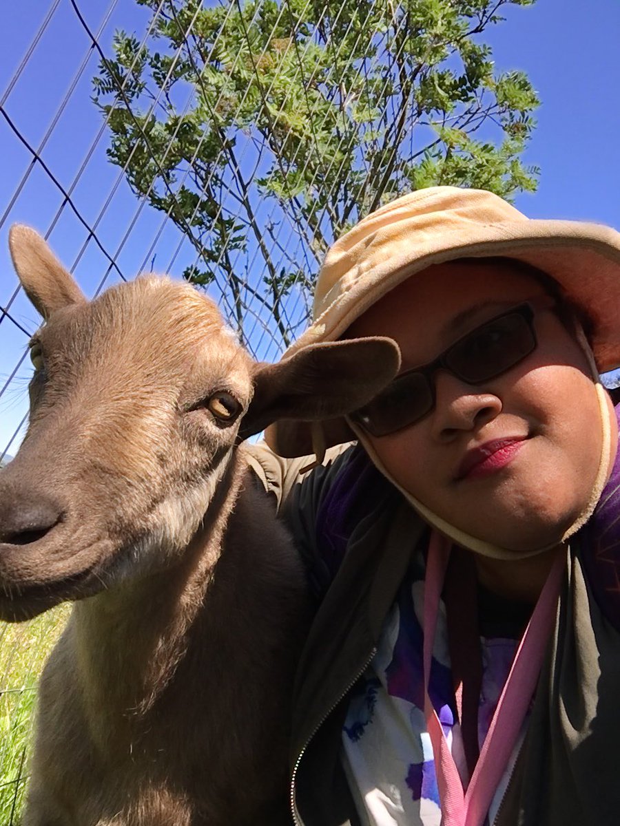 A_R_T_19's tweet photo. I ❤️ Goats 🐐 #HauteGoat #goats #PortHope @Parkbus #parkbusgotmehere #parkbus #explore #Adventure #nature #getoutside https://t.co/hUGRaFK1pN