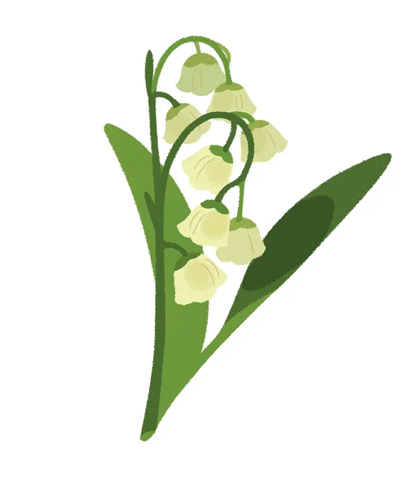 Lily of the Valley🌱 