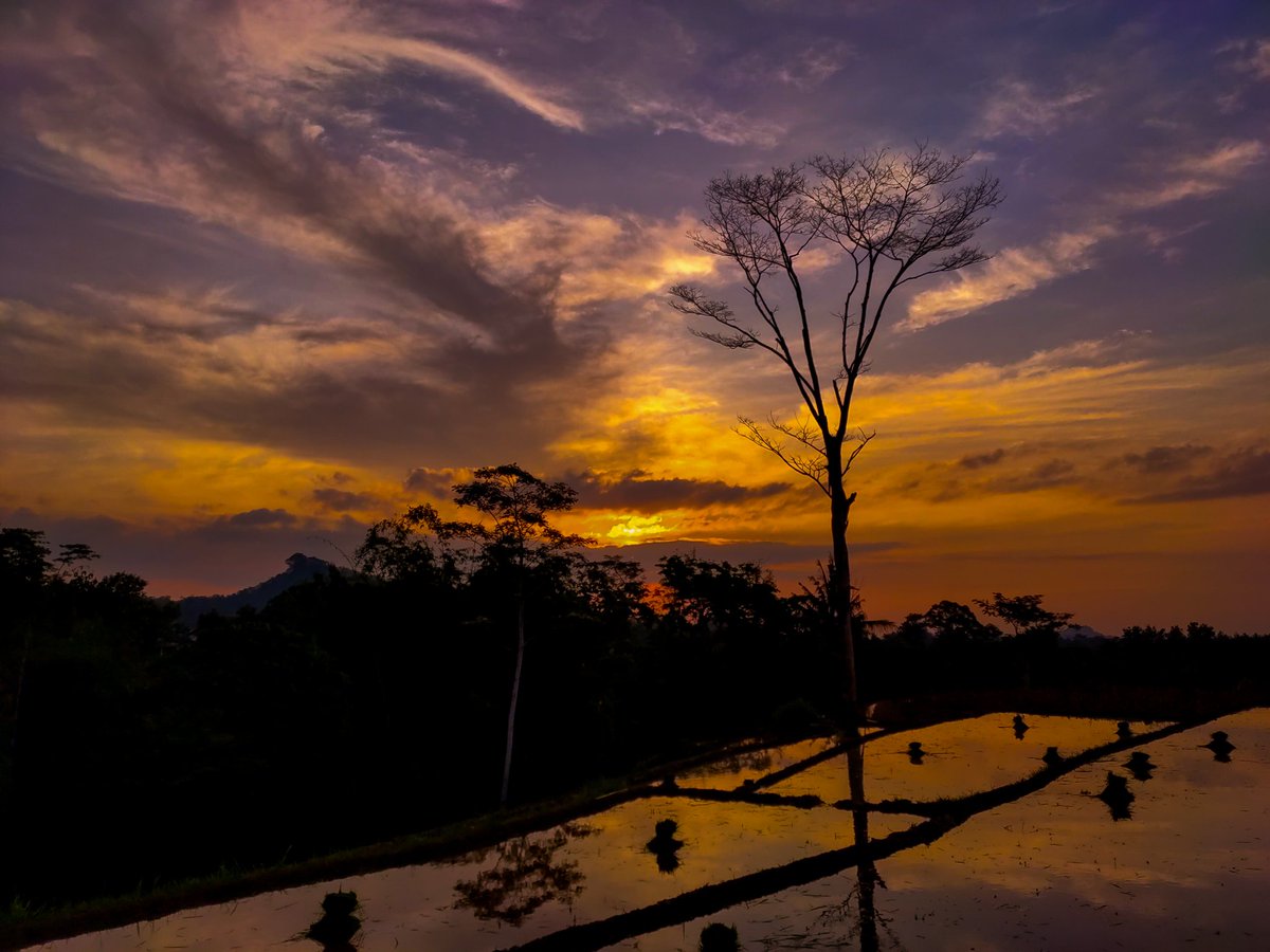 Mes10al's tweet photo. @RuangLucuuu Realme 5 pro,,edit pake Lightroom
Lokasi : ngawiiii https://t.co/jVgYTivDdS