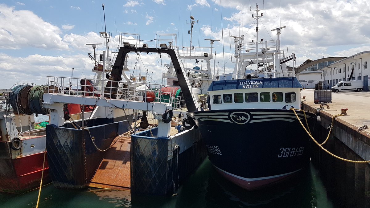 Apez140's tweet photo. #Ratos
De #Proas y #Popas...🧚‍♂️😎
#ShipsInPics https://t.co/Ezij36IyDg