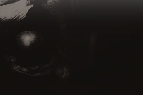 TLOUSSURVIVOR's tweet photo. ❝ 𝐼 ℎ𝑎𝑣𝑒 𝑛𝑜 𝑝𝑙𝑎𝑛𝑠 𝑓𝑜𝑟 𝑚𝑦 𝑟𝑒𝑡𝑢𝑟𝑛 ❞ https://t.co/SDj0plWugM
