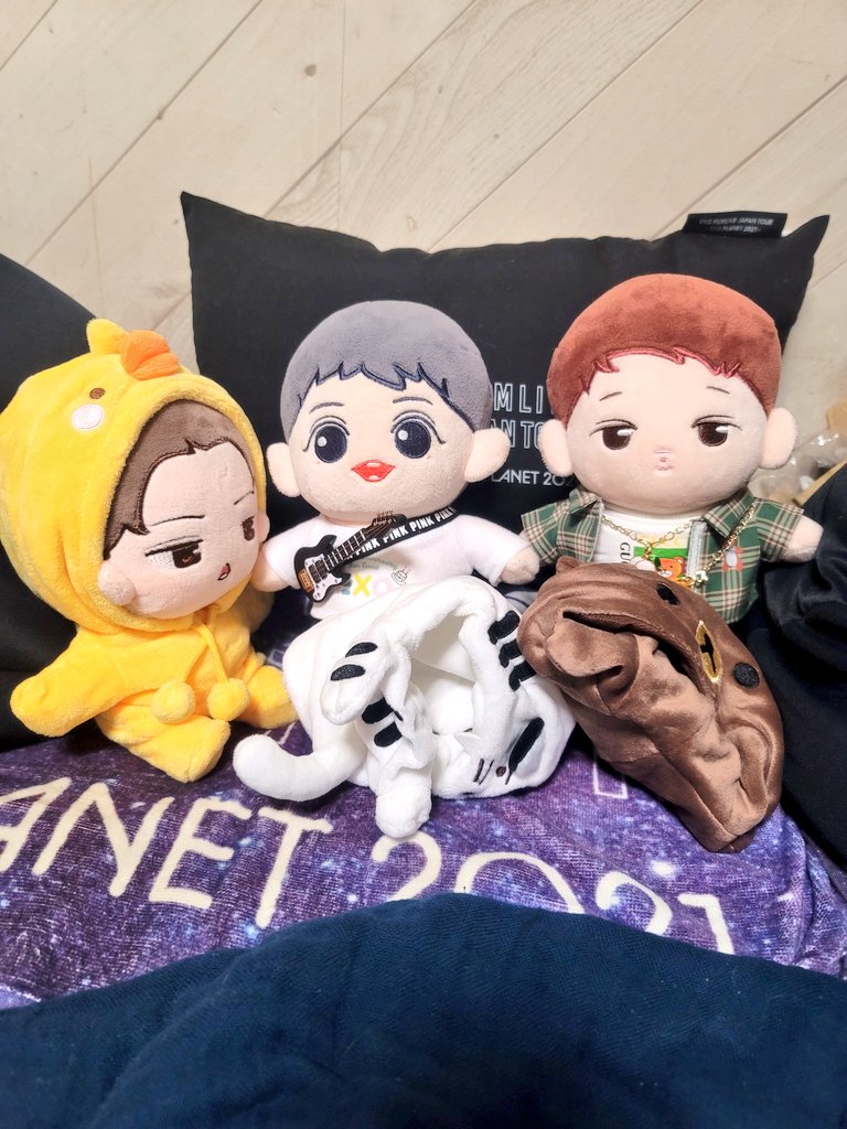 keeptryingakira's tweet photo. 今朝は朝早くから準備!
今日は、朝イチのぼく歌観に行きます(*^^*)
なんと、3人連れてきますよ🤣🤣🤣
着ぐるみ隊結成~ヾ(o´∀`o)ノワァーィ♪
( *´艸`)かわい💓
#exodoll #chanyeoldoll #CHANYEOL #kaidoll #KAI #sehundoll #SEHUN #찬열 #키이 #세훈 #ぬい撮り #ぬいと暮らす365日 https://t.co/faB6bg1ReN