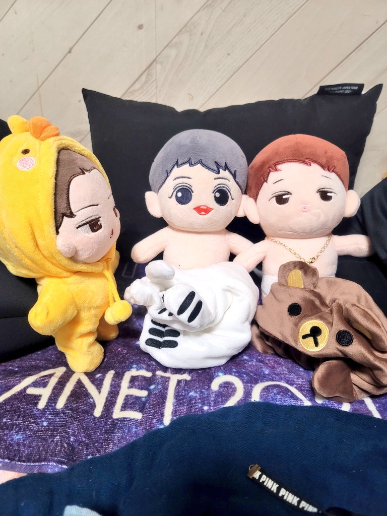 keeptryingakira's tweet photo. 今朝は朝早くから準備!
今日は、朝イチのぼく歌観に行きます(*^^*)
なんと、3人連れてきますよ🤣🤣🤣
着ぐるみ隊結成~ヾ(o´∀`o)ノワァーィ♪
( *´艸`)かわい💓
#exodoll #chanyeoldoll #CHANYEOL #kaidoll #KAI #sehundoll #SEHUN #찬열 #키이 #세훈 #ぬい撮り #ぬいと暮らす365日 https://t.co/faB6bg1ReN
