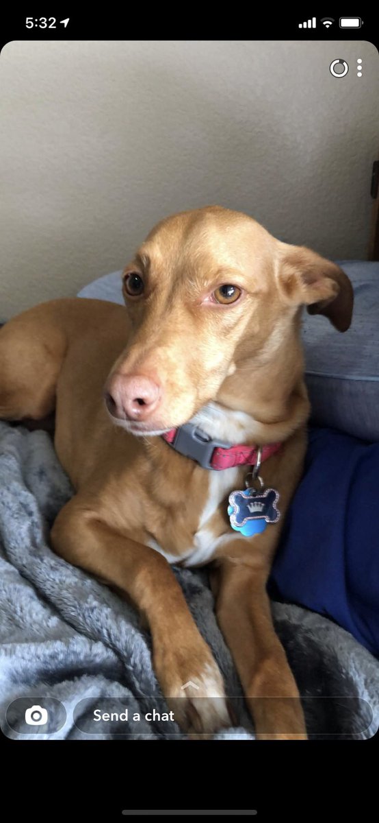 Troy Mott tweet media