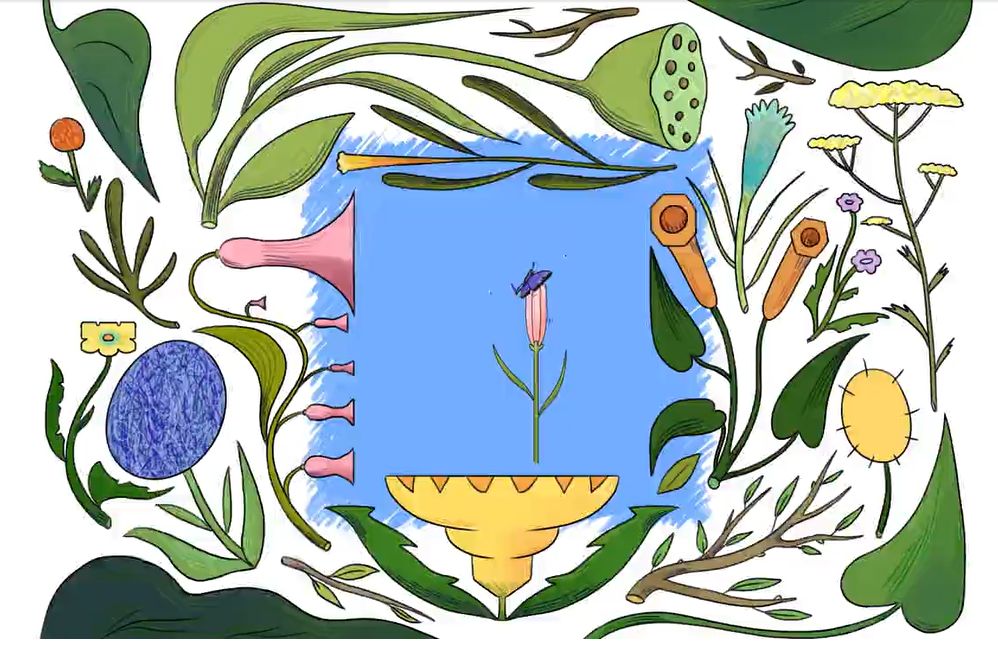 mujerconciencia's tweet photo. ¿Cuál es el color más raro en la naturaleza?
Los explica la Dra. @VictoriaHwang en @TED_ED 
https://t.co/eLvgaQEIu3 https://t.co/S6eEw0ZKVj