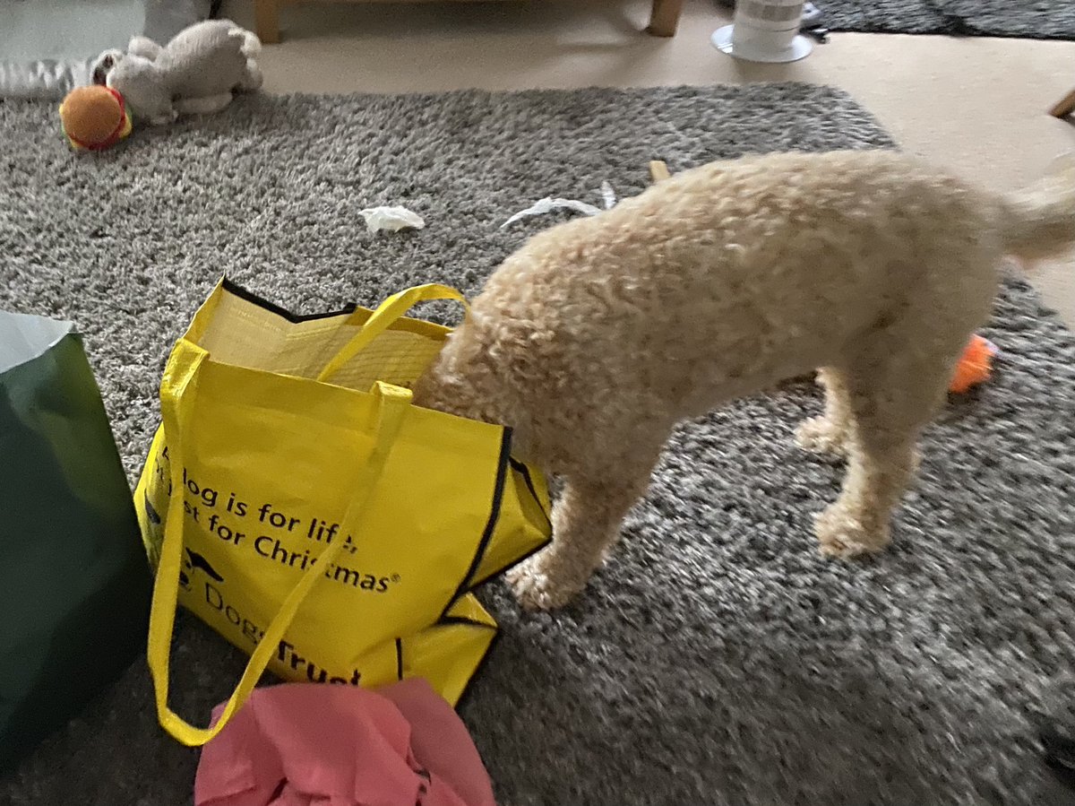 Really interesting meeting the team from <a href="/PercuroEarth/">Percuro</a> at <a href="/DogfestUK/">DogFest</a> today.  Love the sustainability of the product.  Lola literally couldn’t wait for another snappie when we got home! 🤣