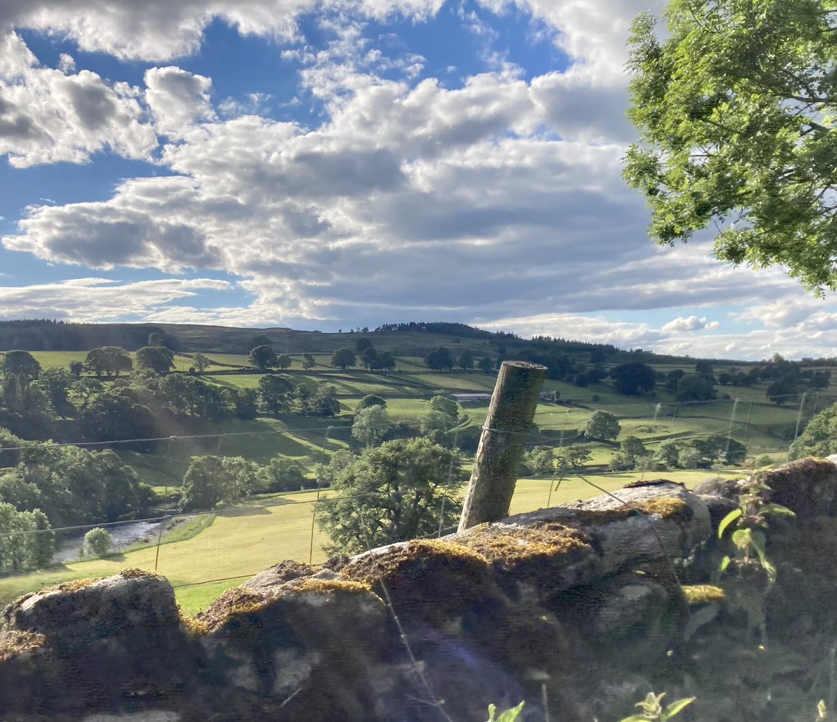 Greg Mulholland tweet media