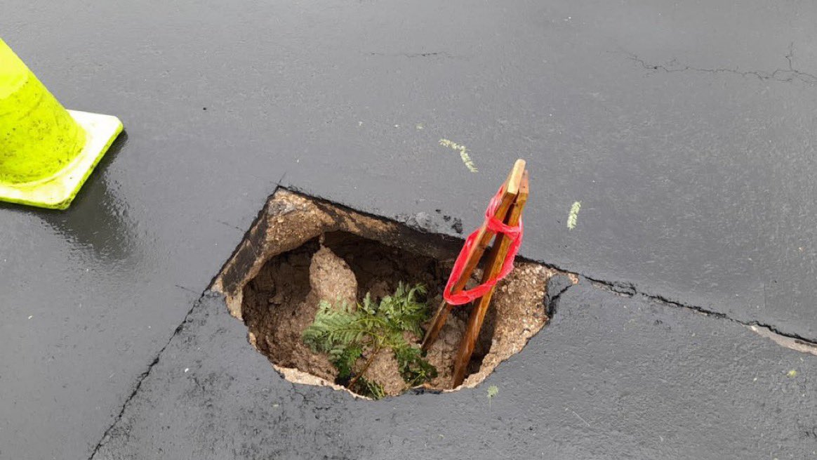 samuel_pz's tweet photo. Q3 mil millones aprobaron los serviles de Giammattei para "reparar carreteras".

Los corruptos se ríen de Guatemala mientras la tienen destruída y contaminada. No podemos seguir dejando que hagan de nuestro país un basurero. https://t.co/pcpFg5gjeq