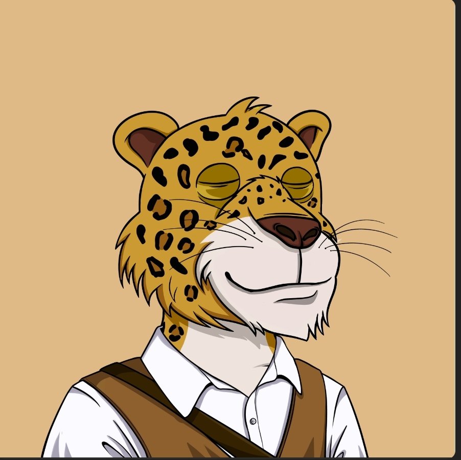 Michael🟠1c 🎒 tweet media