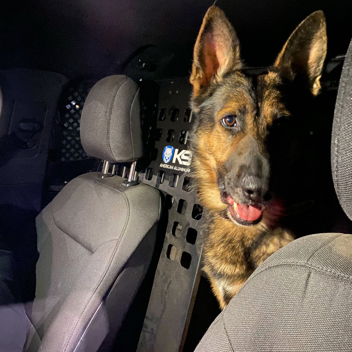 Someone’s ready to go!! #TeamEvo #policek9 #policedog #policedogs #k9team #k9unit #policek9 #k9handler #workingdog #workingdogs #furmissile #landshark #K9life #k9police #k9cop #thinbluefamily #thinblueline #sendus #k9leadstheway #k9