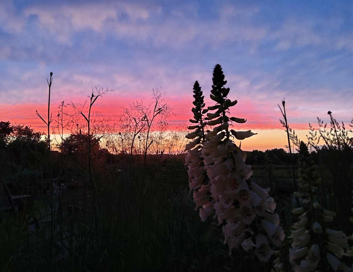 AdeysAlthorp's tweet photo. 21.50. Just returned home and this is the view looking across to Althorp and Holdenby.
It's a real pleasure setting out moth traps on such a beautiful evening.
Conservation@althorp.com #nofilterneeded #sunsets #moths #Harlestone #althorpestates https://t.co/oguH1Reh1J