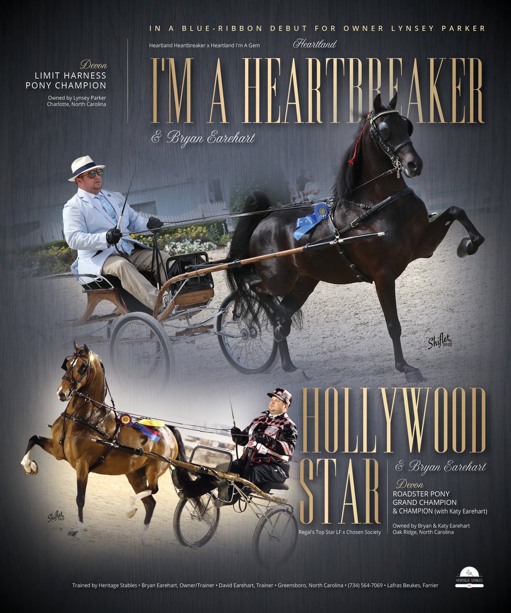 TNH1865's tweet photo. #nationalhorseman @devon1896 @bryanearehart #parker #heritagestables #harnesspony #roadsterpony #hackneyhorse https://t.co/bzEZTJZdGB