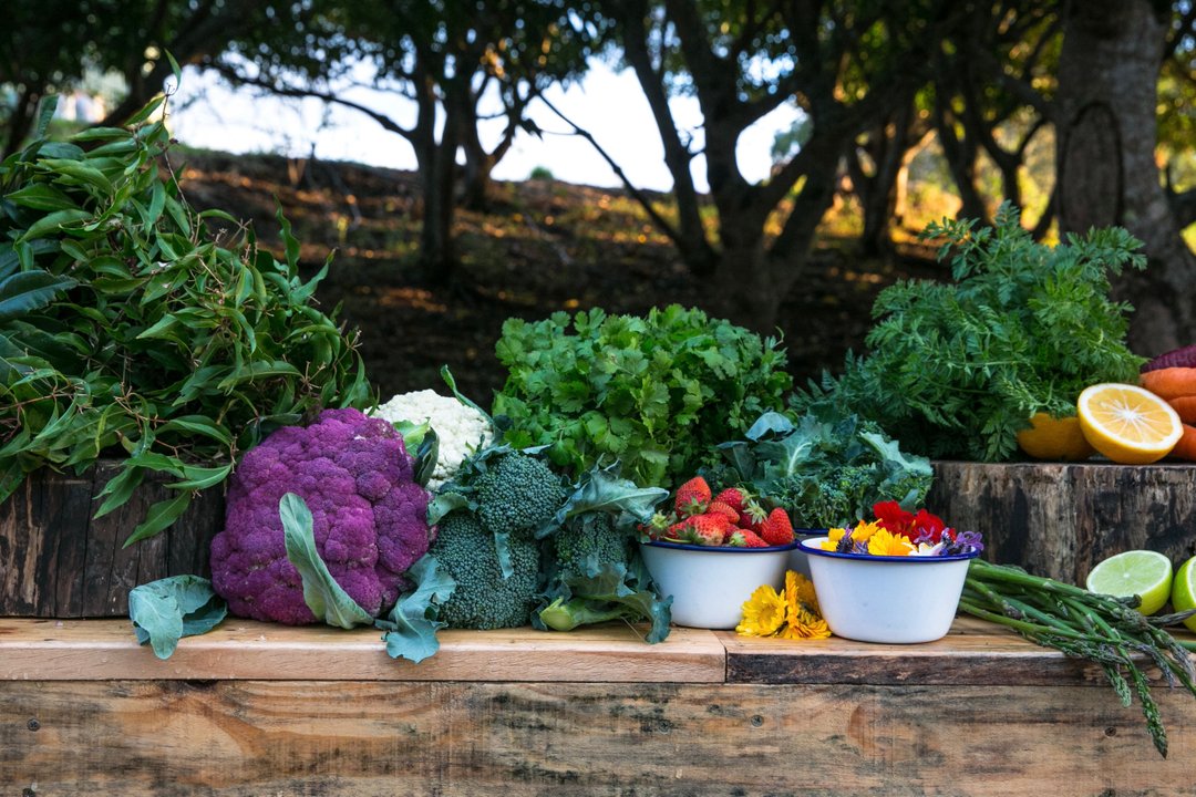 intfooddesign's tweet photo. Winter is here and all these vibrant veggies are now back in the ground for the new season 🌱

#inseason#organic#organicfarm#eatyourveggies#farmtotable#sustainablefoods#growyourownfood#healthyeating https://t.co/3myxJcGYbg