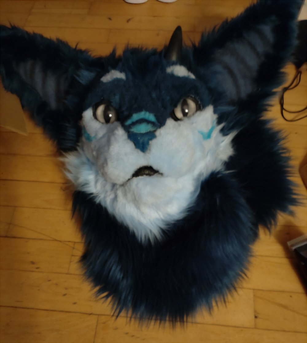 EyenoomOld's tweet photo. Painted a kitty today!
Trying to finally get this bad boy ready for @FurtasticDK this year! https://t.co/9ZnH4FRMLm