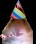 superkoi3000's tweet photo. Guess I have somehow made it to being 26 years old as of now https://t.co/zEKjK1oylE